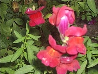 785d6cf3-Picture 028.jpg